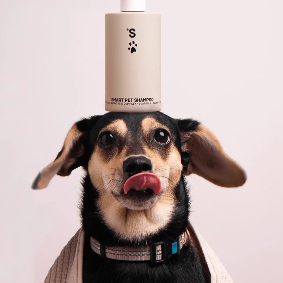 Șampon pentru animale Smart Care, Câini și Pisici, 250ml