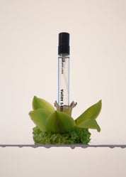 Sister's Aroma, Don't Explain, Unisex, 10 ml