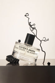 Parfum de mașină | Struguri Roșii și Mure