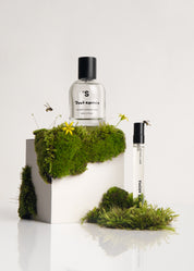 Sister's Aroma, Don't Explain, Unisex, 50 ml