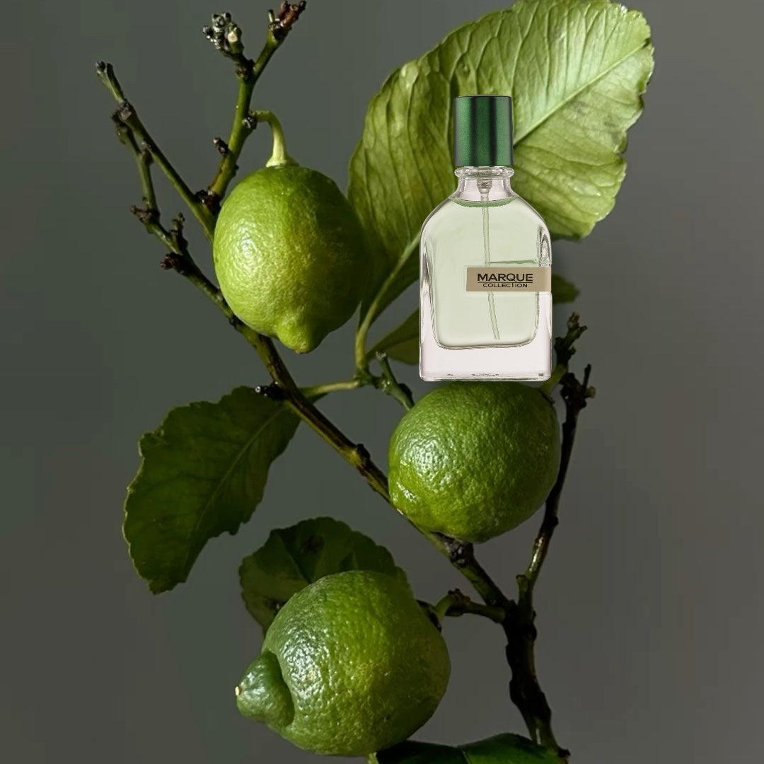 Fragrance World, 234 Marque Collection , Unisex, 25 ml