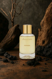Aventum Paris, Voyager, Unisex, 100ml